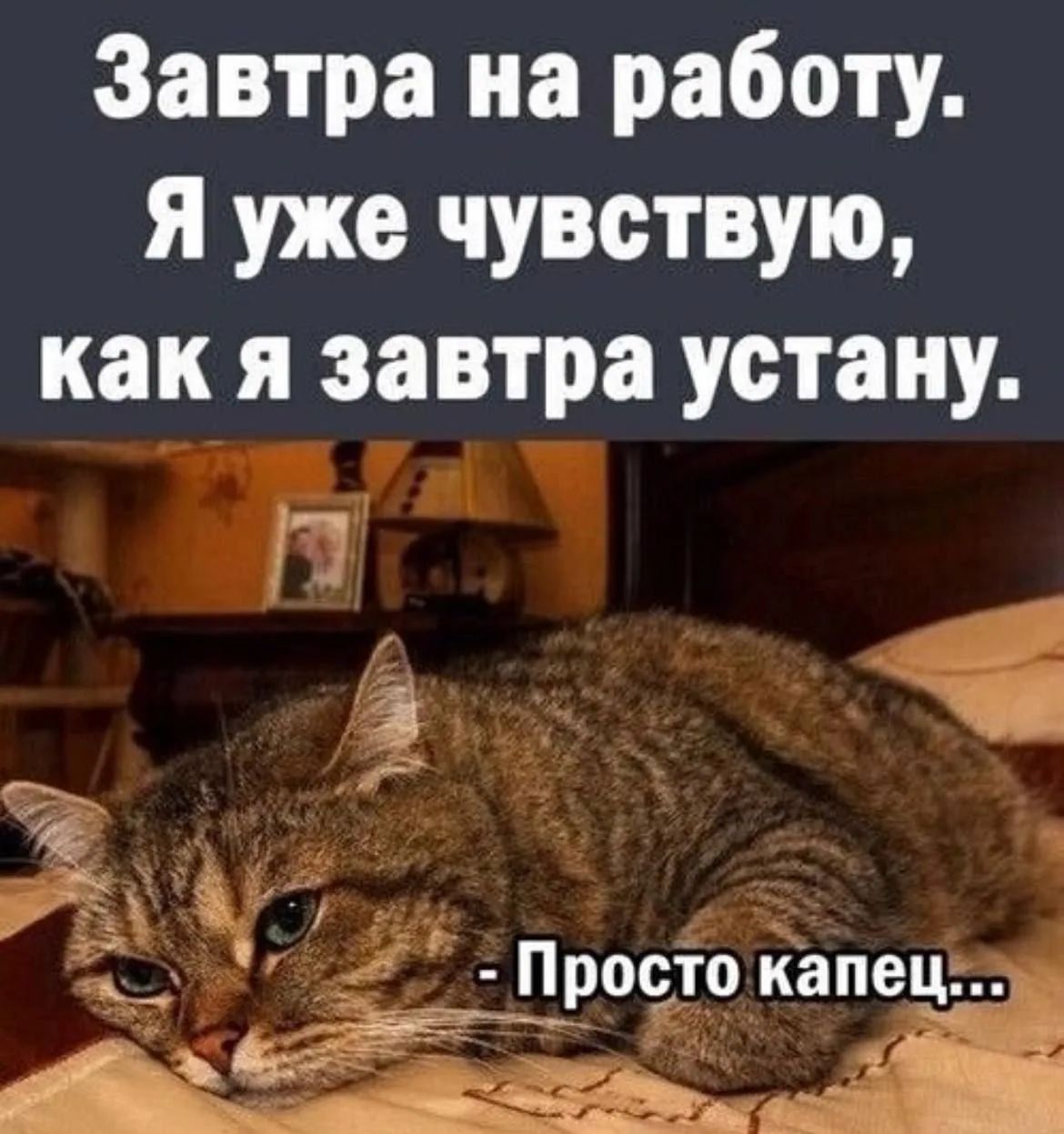 Завтра на работу. Я уже чувствую, как я завтра устану. - Просто капец...
