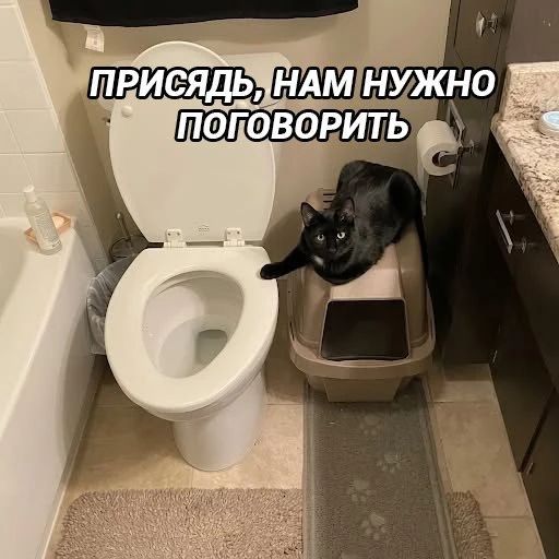 ПРИСЯДЬ, НАМ НУЖНО ПОГОВОРИТЬ