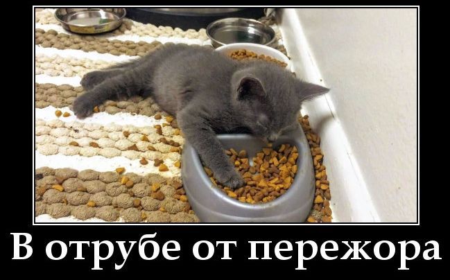 В отрубе от пережора
