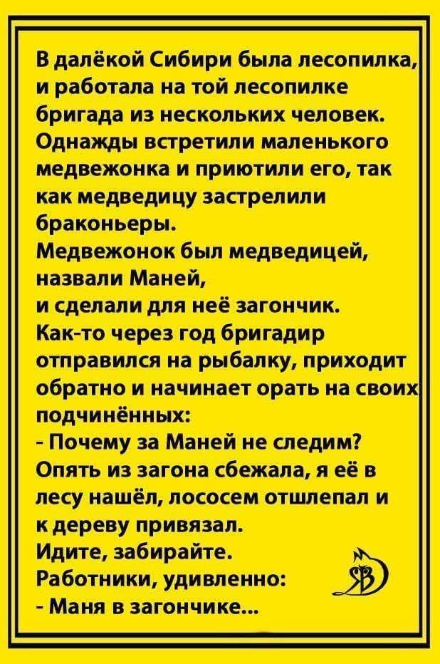 В далёкой Сибири была лесопилка, и работала на той лесопилке бригада из нескольких человек. Однажды встретили маленького медвежонка и приютили его, так как медведицу застрелили браконьеры. Медвежонок был медведицей, назвали Маней, и сделали для неё загончик. Как-то через год бригадир отправился на рыбалку, приходит обратно и начинает орать на