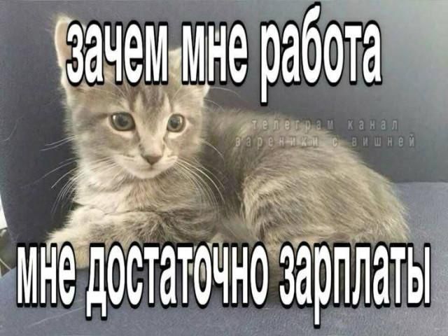 зачем мне работа мне достаточно зарплаты