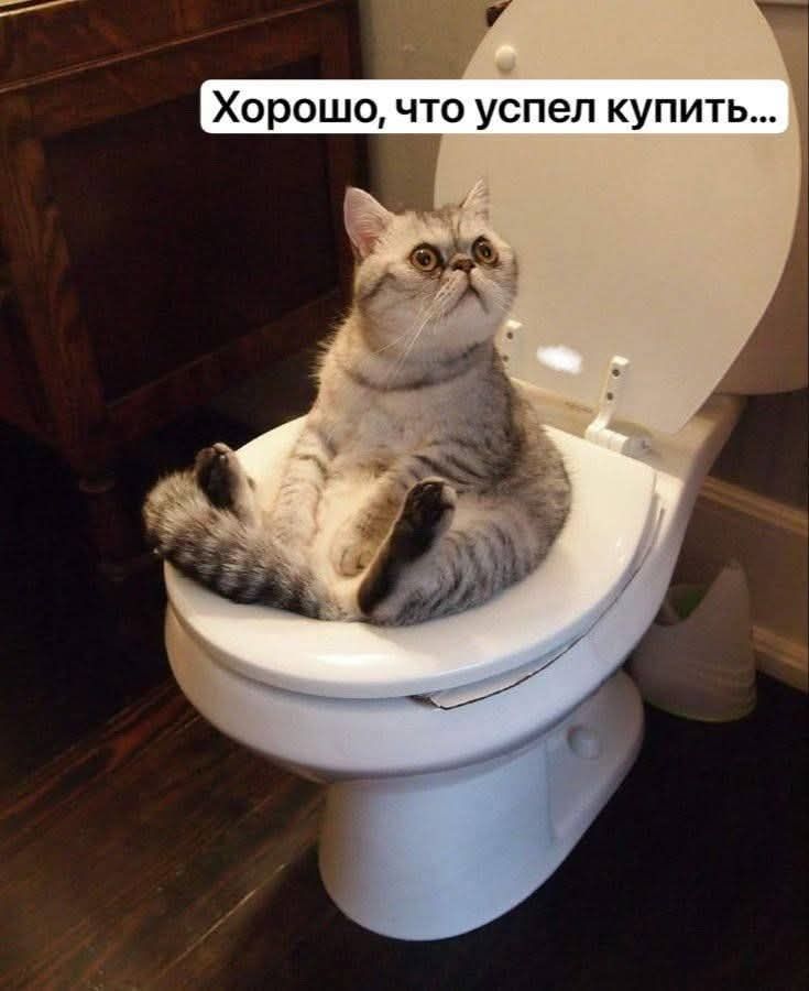 Хорошо, что успел купить...