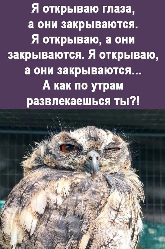Я открываю глаза, а они закрываются. Я открываю, а они закрываются. Я открываю, а они закрываются... А как по утрам развлекаешься ты?!