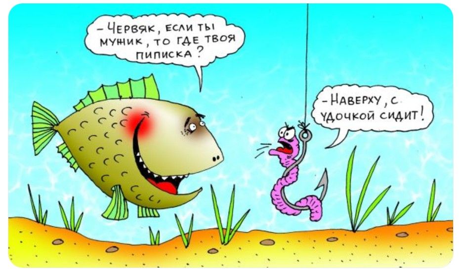 Червяк, если ты мужик, то где твоя пиписка? Наверху, с удочкой сидит!