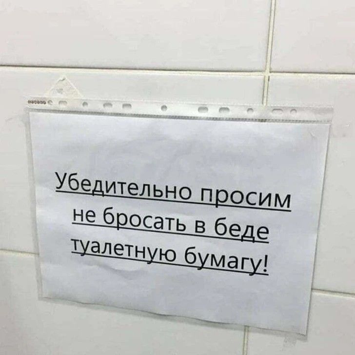 Убедительно просим не бросать в беде туалетную бумагу!