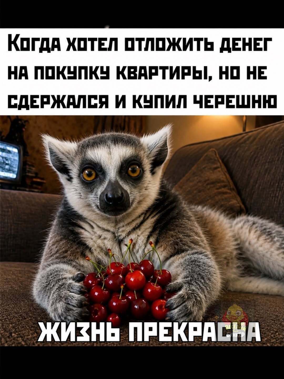 Когда хотел отложить денег на покупку квартиры, но не сдержался и купил черешню. Жизнь прекрасна.