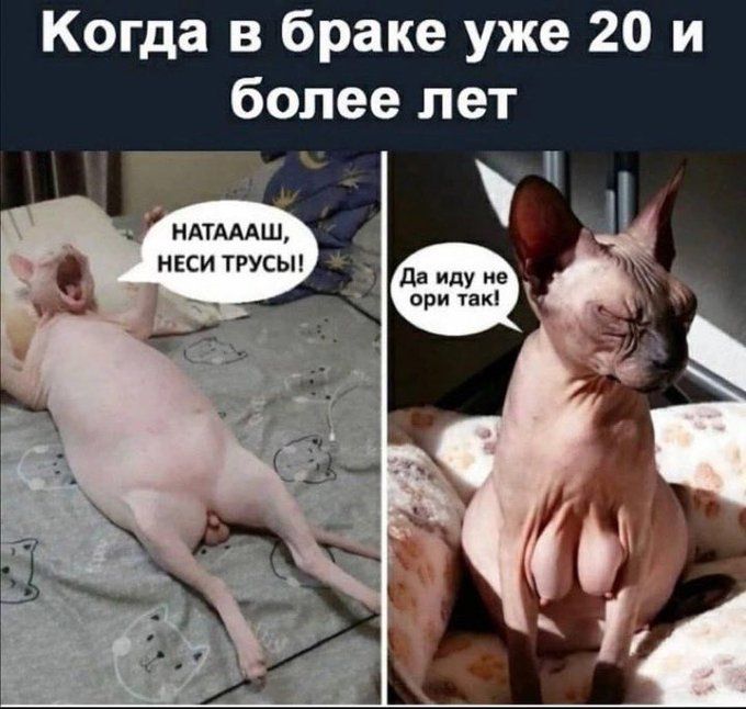 Когда в браке уже 20 и более лет НАТАААШ, НЕСИ ТРУСЫ! Да иду не ори так!