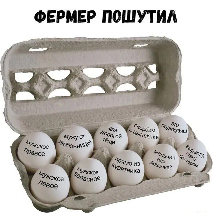 ФЕРМЕР ПОШУТИЛ Мужское правое Мужское левое Мужу от любовницы Мужское запасное Для дорогой тёщи Прямо из курятника Скорбим о цыплёнке Мальчик или девочка? Это подкидыш Вырасту, стану блогером