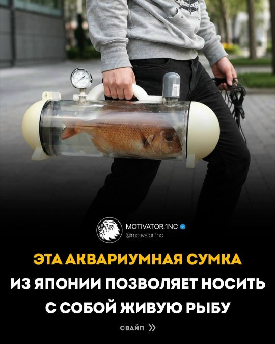 МОTIVATOR.INC @motivator.inc Эта аквариумная сумка из Японии позволяет носить с собой живую рыбу Свайп