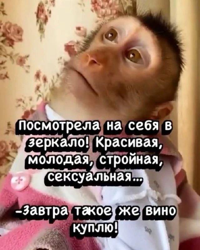 Посмотрела на себя в зеркало! Красивая, молодая, стройная, сексуальная... -завтра такое же вино куплю!