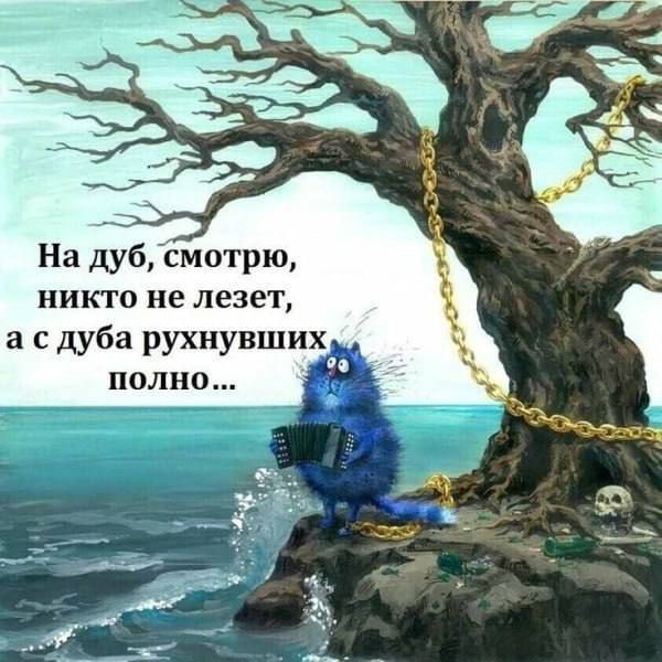 На дуб, смотрю, никто не лезет, а с дуба рухнувших полно...