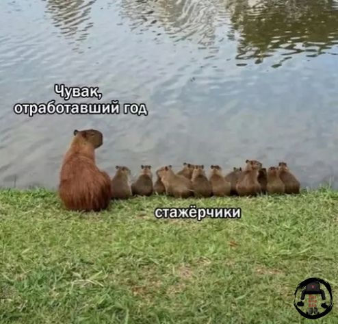 Чувак, отработавший год стажёрчики