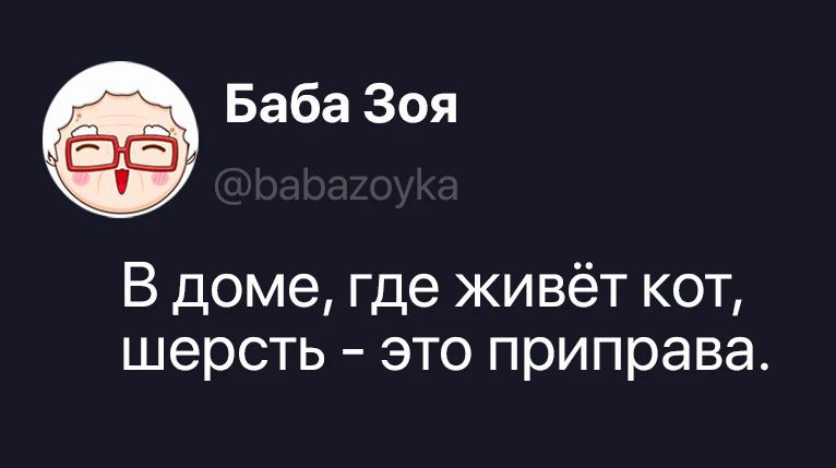 Баба Зоя @babazoyka В доме, где живёт кот, шерсть - это приправа.