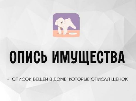 ОПИСЬ ИМУЩЕСТВА - СПИСОК ВЕЩЕЙ В ДОМЕ, КОТОРЫЕ ОПИСАЛ ЩЕНОК