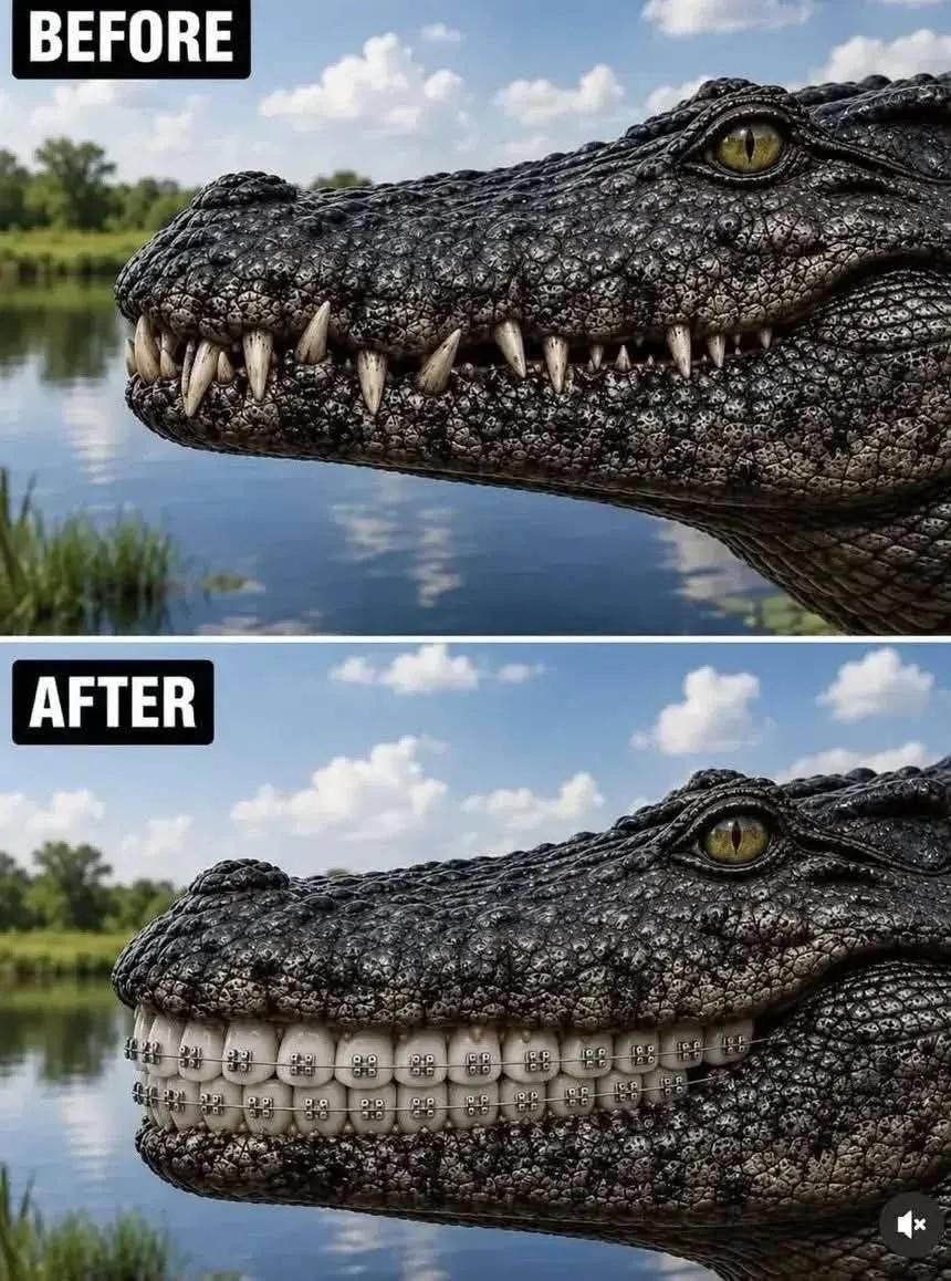 BEFORE AFTER
