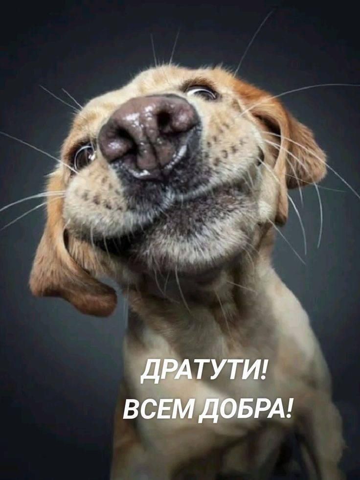 ДРАТУТИ! ВСЕМ ДОБРА!