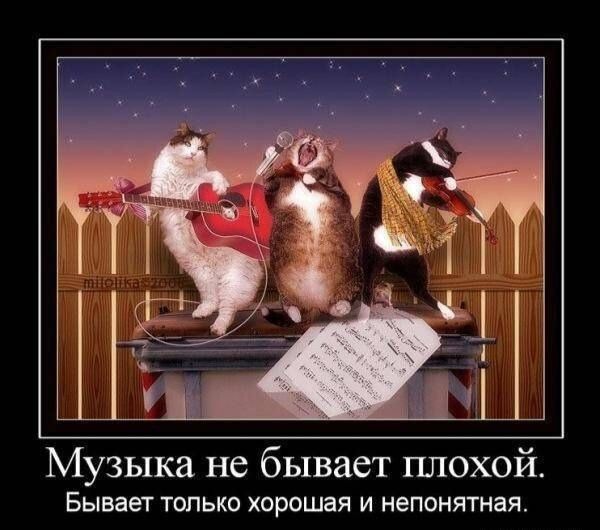 Музыка не бывает плохой. Бывает только хорошая и непонятная.