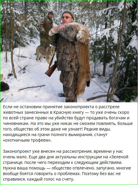 Если не остановим принятие законопроекта о расстреле животных занесенных в Красную книгу — то уже очень скоро по всей стране право на убийство будут продавать богачам и чиновникам. На это мы уже никак не сможем повлиять, больше того, общество об этом даже не узнает! Редкие виды, находящиеся на грани полного вымирания, станут «охотничьим трофеем».