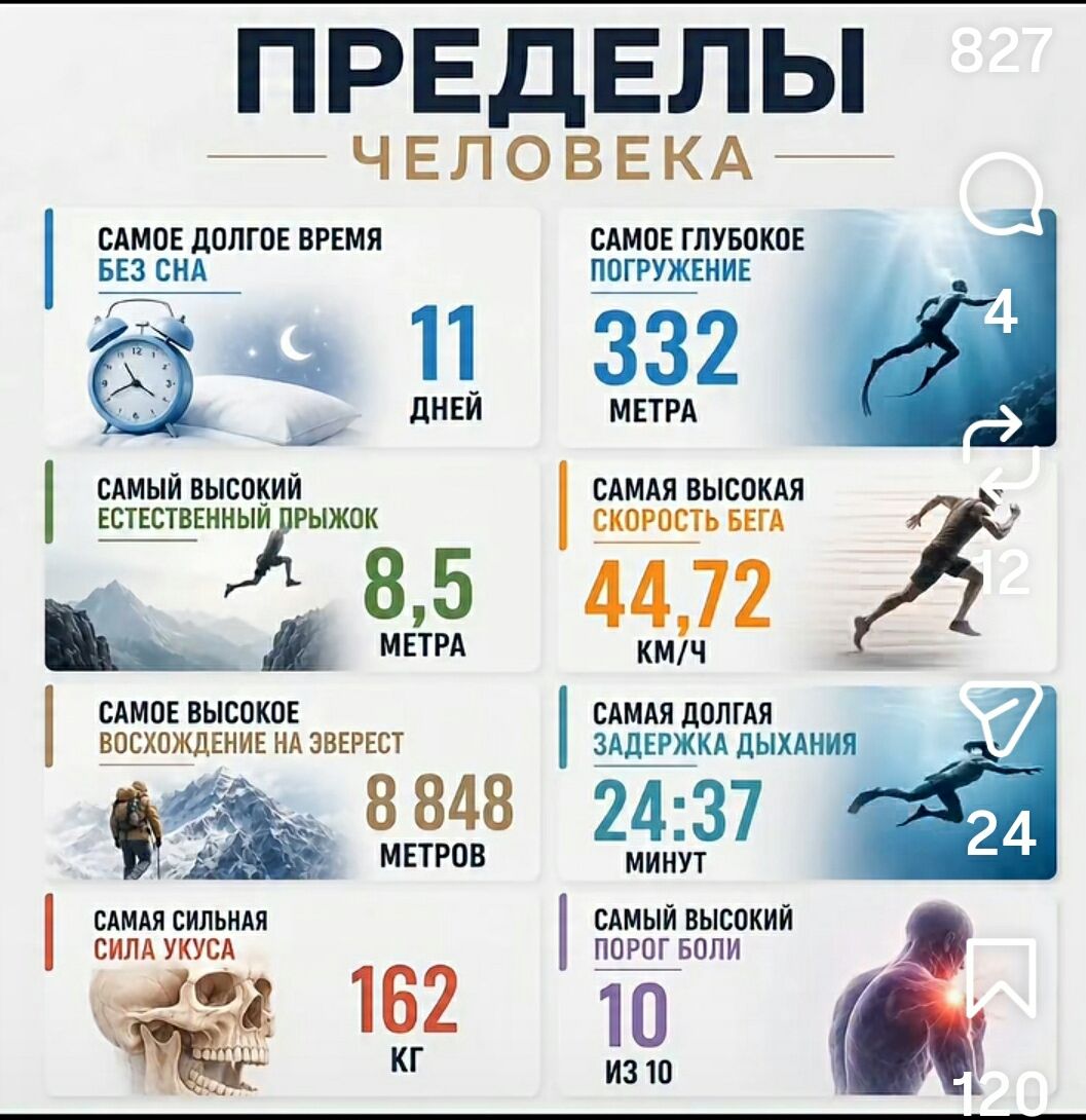 ПРЕДЕЛЫ ЧЕЛОВЕКА САМОЕ ДОЛГОЕ ВРЕМЯ БЕЗ СНА 11 ДНЕЙ САМОЕ ГЛУБОКОЕ ПОГРУЖЕНИЕ 332 МЕТРА САМЫЙ ВЫСОКИЙ ЕСТЕСТВЕННЫЙ ПРЫЖОК 8,5 МЕТРА САМАЯ ВЫСОКАЯ СКОРОСТЬ БЕГА 44,72 КМ/Ч САМОЕ ВЫСОКОЕ ВОСХОЖДЕНИЕ НА ЭВЕРЕСТ 8 848 МЕТРОВ САМАЯ ДОЛГАЯ ЗАДЕРЖКА ДЫХАНИЯ 24:37 МИНУТ САМАЯ СИЛЬНАЯ СИЛА УКУСА 162 КГ САМЫЙ ВЫСОКИЙ ПОРОГ БОЛИ 10 ИЗ 10
