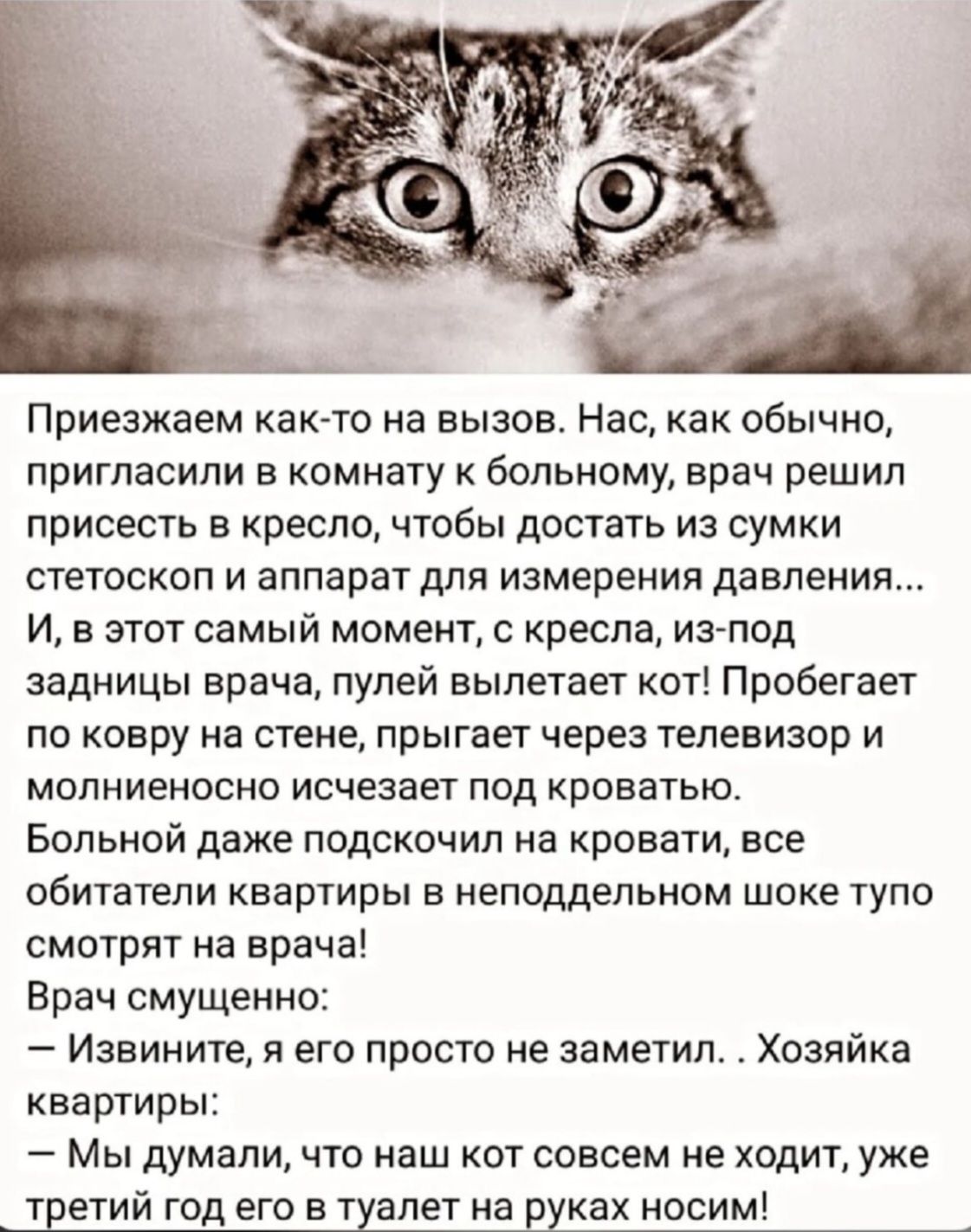 Приезжаем как-то на вызов. Нас, как обычно, пригласили в комнату к больному, врач решил присесть в кресло, чтобы достать из сумки стетоскоп и аппарат для измерения давления... И, в этот самый момент, с кресла, из-под задницы врача, пулей вылетает кот! Пробегает по ковру на стене, прыгает через телевизор и молниеносно исчезает под кроватью. Больной
