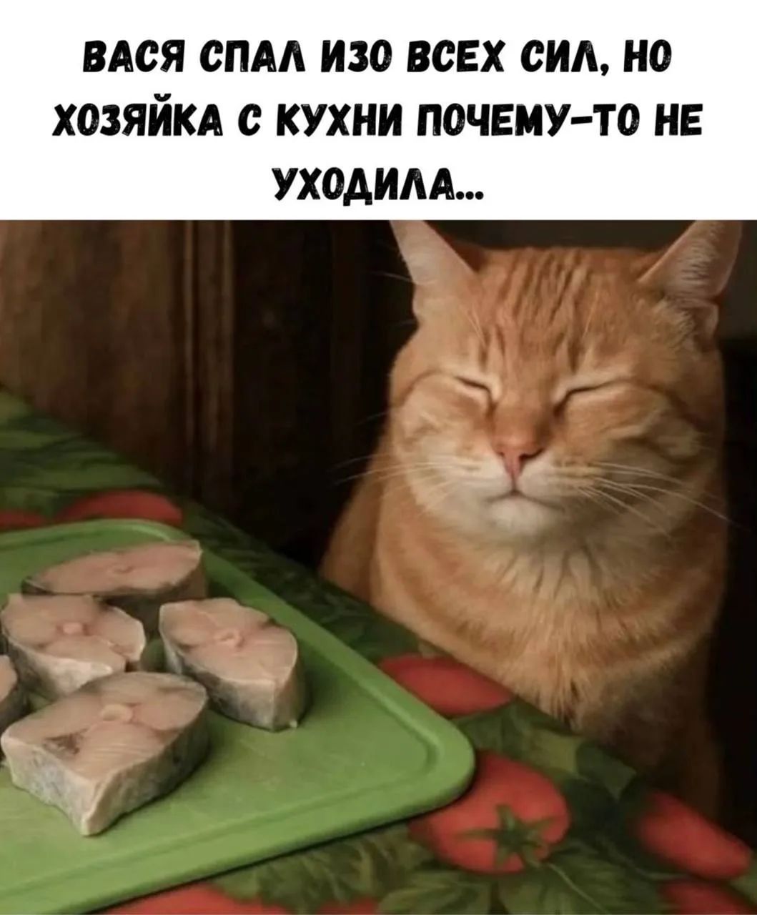 ВАСЯ СПАЛ ИЗО ВСЕХ СИЛ, НО ХОЗЯЙКА С КУХНИ ПОЧЕМУ-ТО НЕ УХОДИЛА...