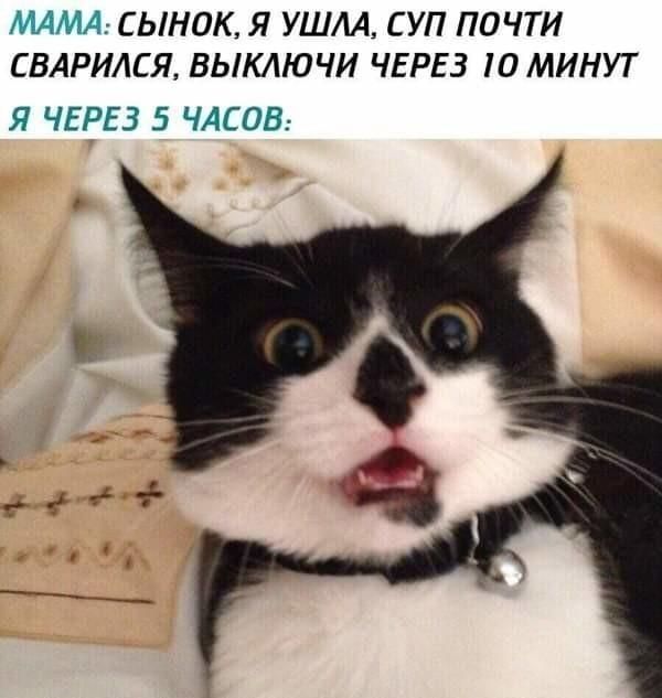 МАМА: СЫНОК, Я УШЛА, СУП ПОЧТИ СВАРИЛСЯ, ВЫКЛЮЧИ ЧЕРЕЗ 10 МИНУТ Я ЧЕРЕЗ 5 ЧАСОВ: