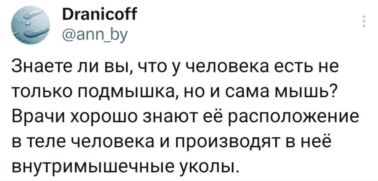 Dranicoff @ann_by Знаете ли вы, что у человека есть не только подмышка, но и сама мышъ? Врачи хорошо знают её расположение в теле человека и производят в неё внутримышечные уколы.