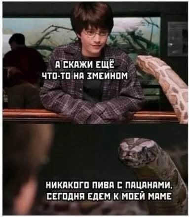 А скажи ещё что-то на змеином. Никакого пива с пацанами, сегодня едем к моей маме.