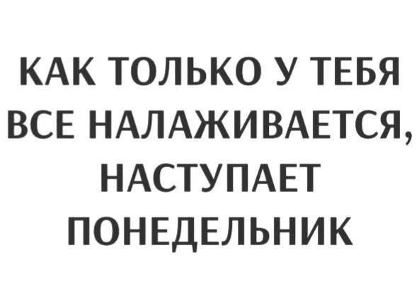 КАК ТОЛЬКО У ТЕБЯ ВСЕ НАЛАЖИВАЕТСЯ, НАСТУПАЕТ ПОНЕДЕЛЬНИК