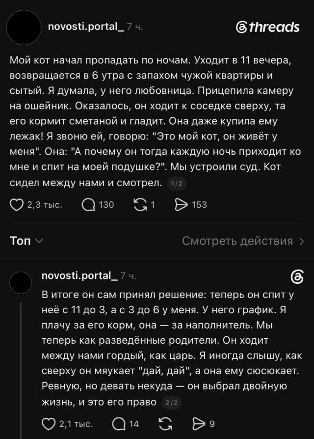 Мой кот начал пропадать по ночам. Уходит в 11 вечера, возвращается в 6 утра с запахом чужой квартиры и сытый. Я думала, у него любовница. Прицепила камеру на ошейник. Оказалось, он ходит к соседке сверху, та его кормит сметаной и гладит. Она даже купила ему лежак! Я звоню ей, говорю: 
