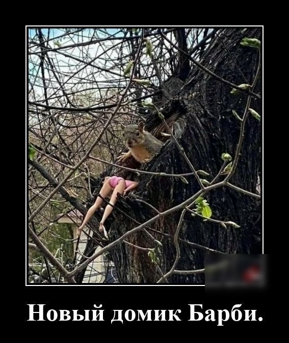 Новый домик Барби.
