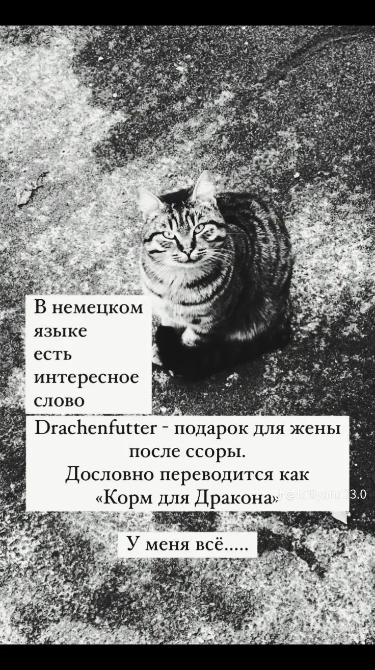 В немецком языке есть интересное слово Drachenfutter - подарок для жены после ссоры. Дословно переводится как «Корм для Дракона» У меня всё.....
