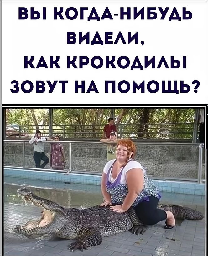ВЫ КОГДА-НИБУДЬ ВИДЕЛИ, КАК КРОКОДИЛЫ ЗОВУТ НА ПОМОЩЬ?