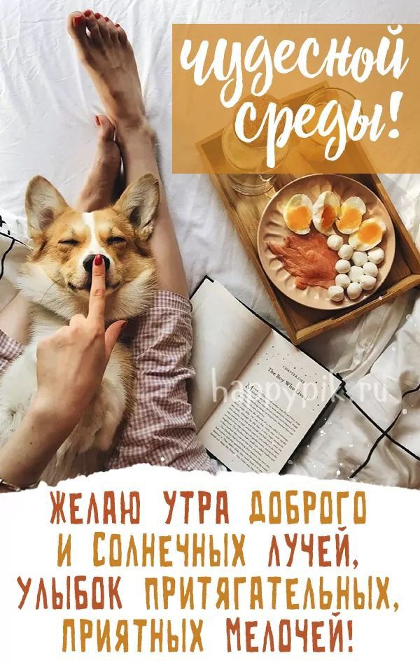 ЧУДЕСНОЙ СРЕДЫ! ЖЕЛАЮ УТРА ДОБРОГО И СОЛНЕЧНЫХ ЛУЧЕЙ, УЛЫБОК ПРИТЯГАТЕЛЬНЫХ, ПРИЯТНЫХ МЕЛОЧЕЙ!