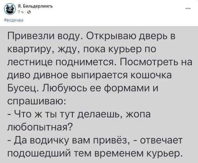 Привезли воду. Открываю дверь в квартиру, жду, пока курьер по лестнице поднимется. Посмотреть на диво дивное выпирается кошочка Бусец. Любуюсь ее формами и спрашиваю: - Что ж ты тут делаешь, жопа любопытная? - Да водичку вам привёз, - отвечает подошедший тем временем курьер.
