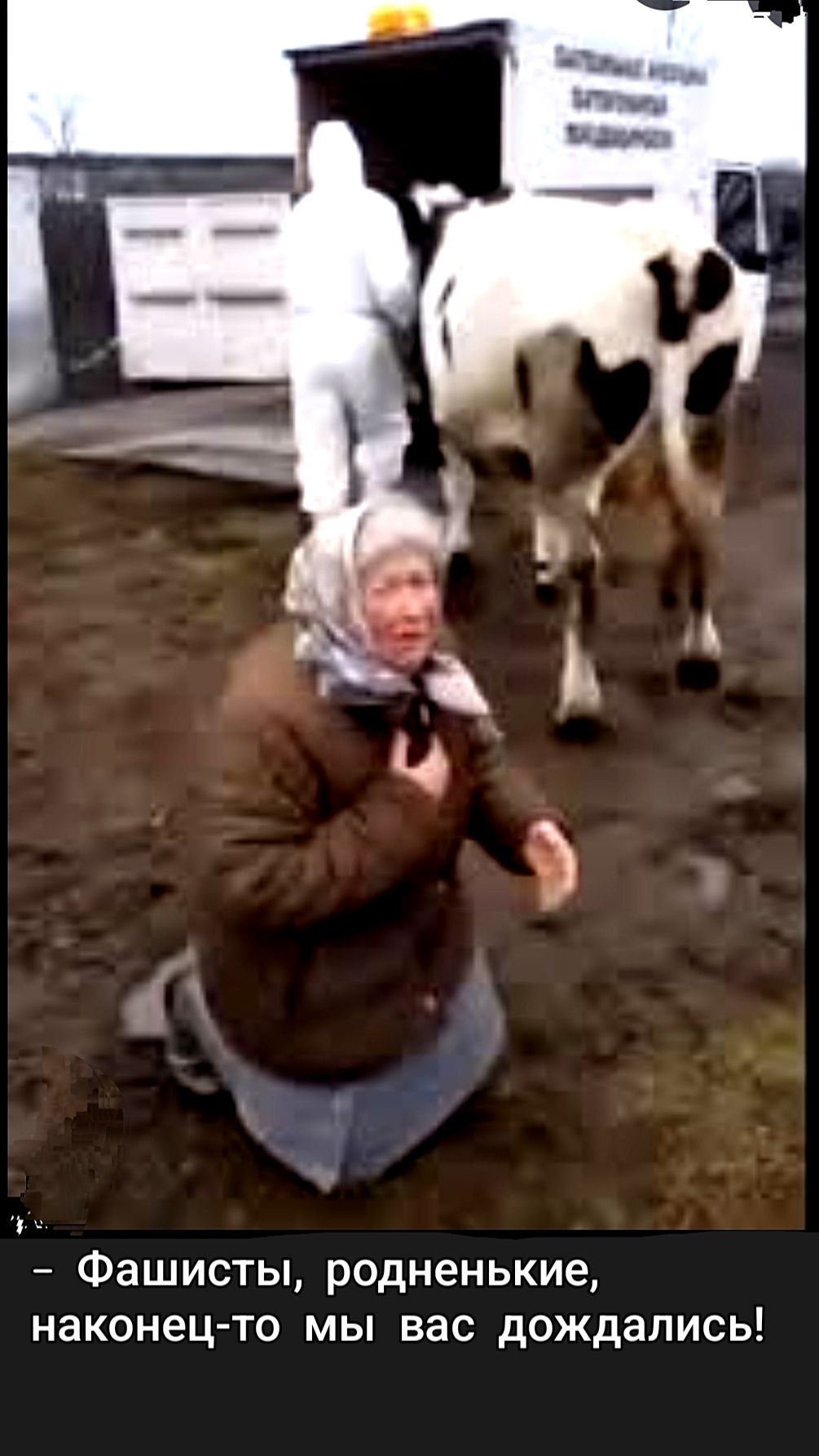 Фашисты, родненькие, наконец-то мы вас дождались!