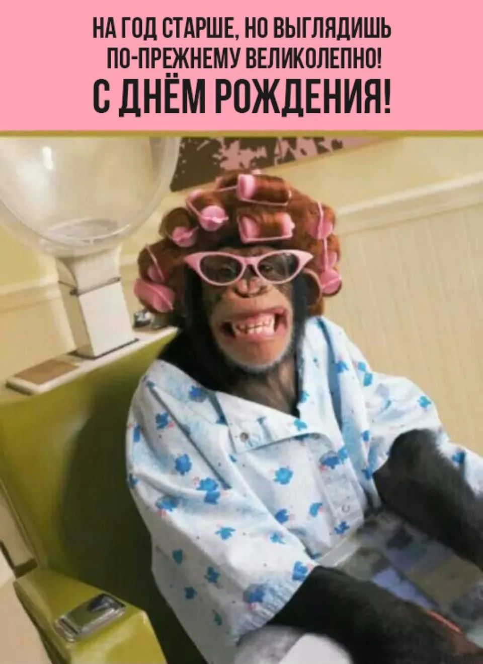 НА ГОД СТАРШЕ, НО ВЫГЛЯДИШЬ ПО-ПРЕЖНЕМУ ВЕЛИКОЛЕПНО! С ДНЁМ РОЖДЕНИЯ!