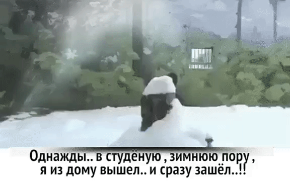 Однажды.. в студёную , зимнюю пору , я из дому вышел.. и сразу зашёл..!!