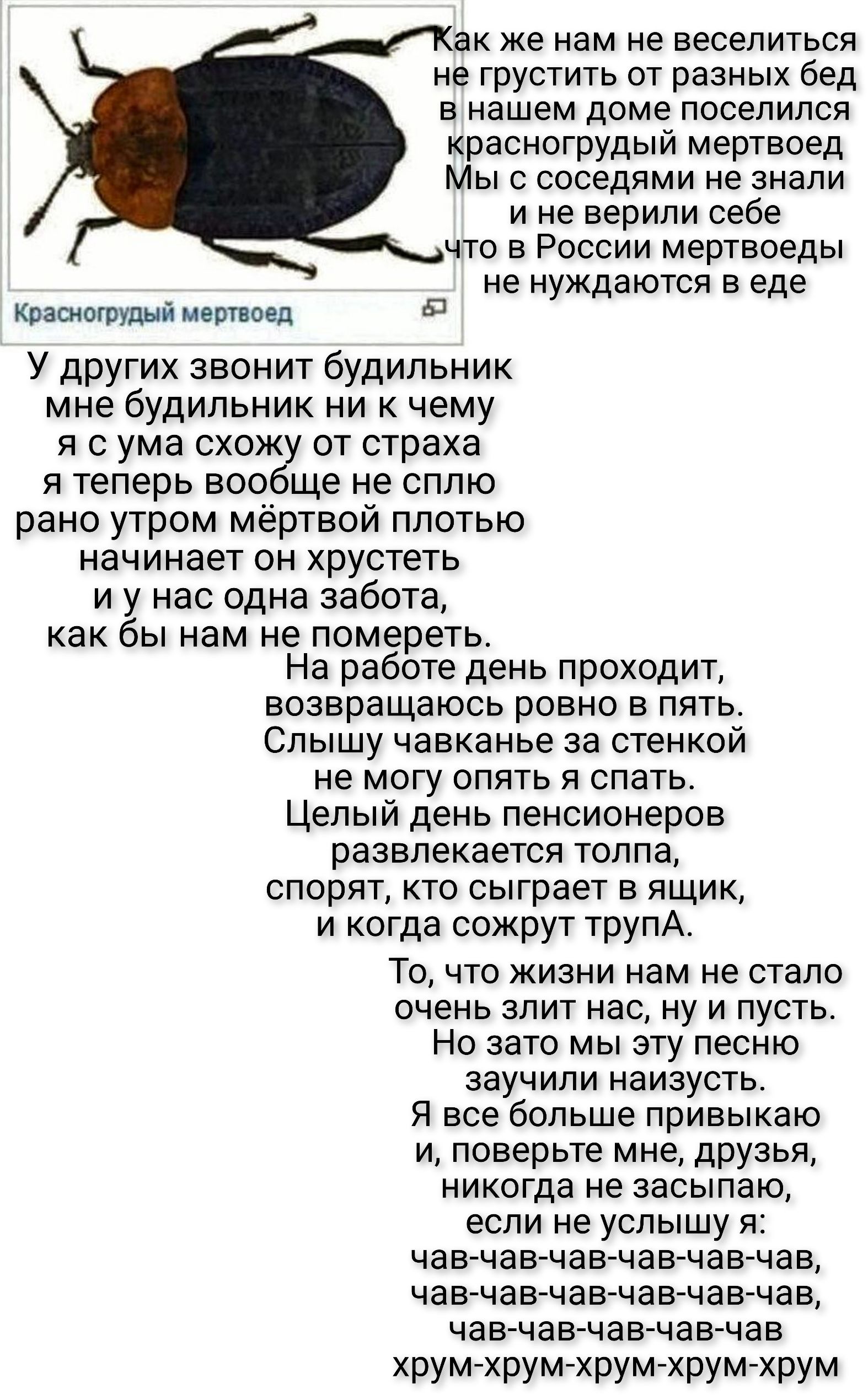 Как же нам не веселиться не грустить от разных бед в нашем доме поселился красногрудый мертфоед Мы с соседями не знали и не верили себе что в России мертвеоды не нуждаются в еде. У других звонит будильник мне будильник ни к чему я с ума схожу от страха я теперь вообще не сплю рано утром мёртвой плотью начинает он хрустеть и у нас одна забота, как
