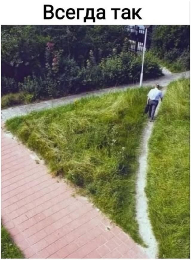Всегда так