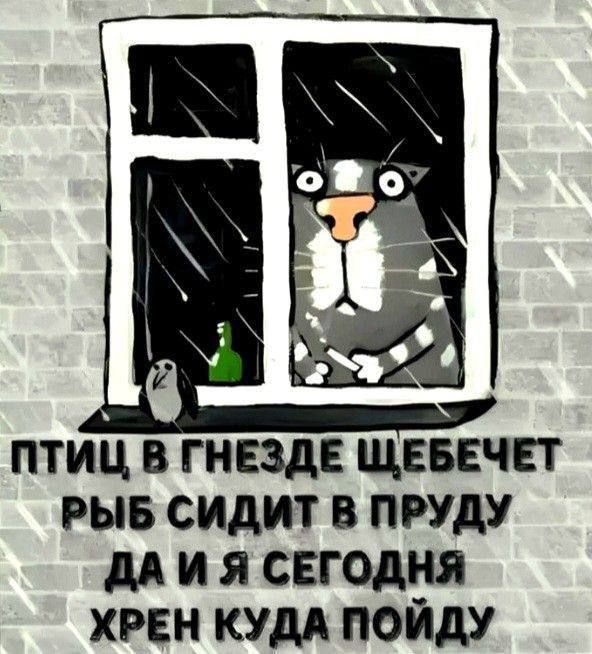 Птиц в гнезде щебечет, рыб сидит в пруду, да и я сегодня хрен куда пойду.