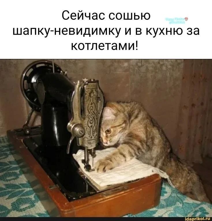Сейчас сошью шапку-невидимку и в кухню за котлетами!