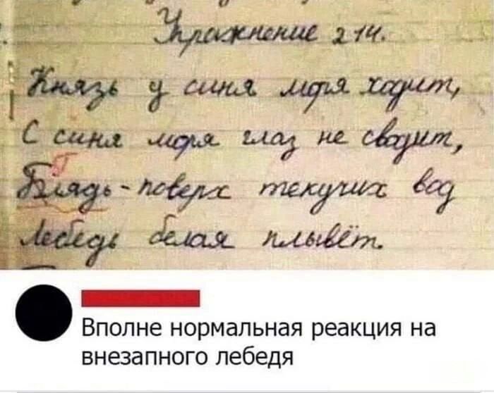 Упражнение 214. Князь у синя моря ходит, С синя моря глаз не сводит, Блядь - поверх текучих вод Лебедь белая плывёт. Вполне нормальная реакция на внезапного лебедя