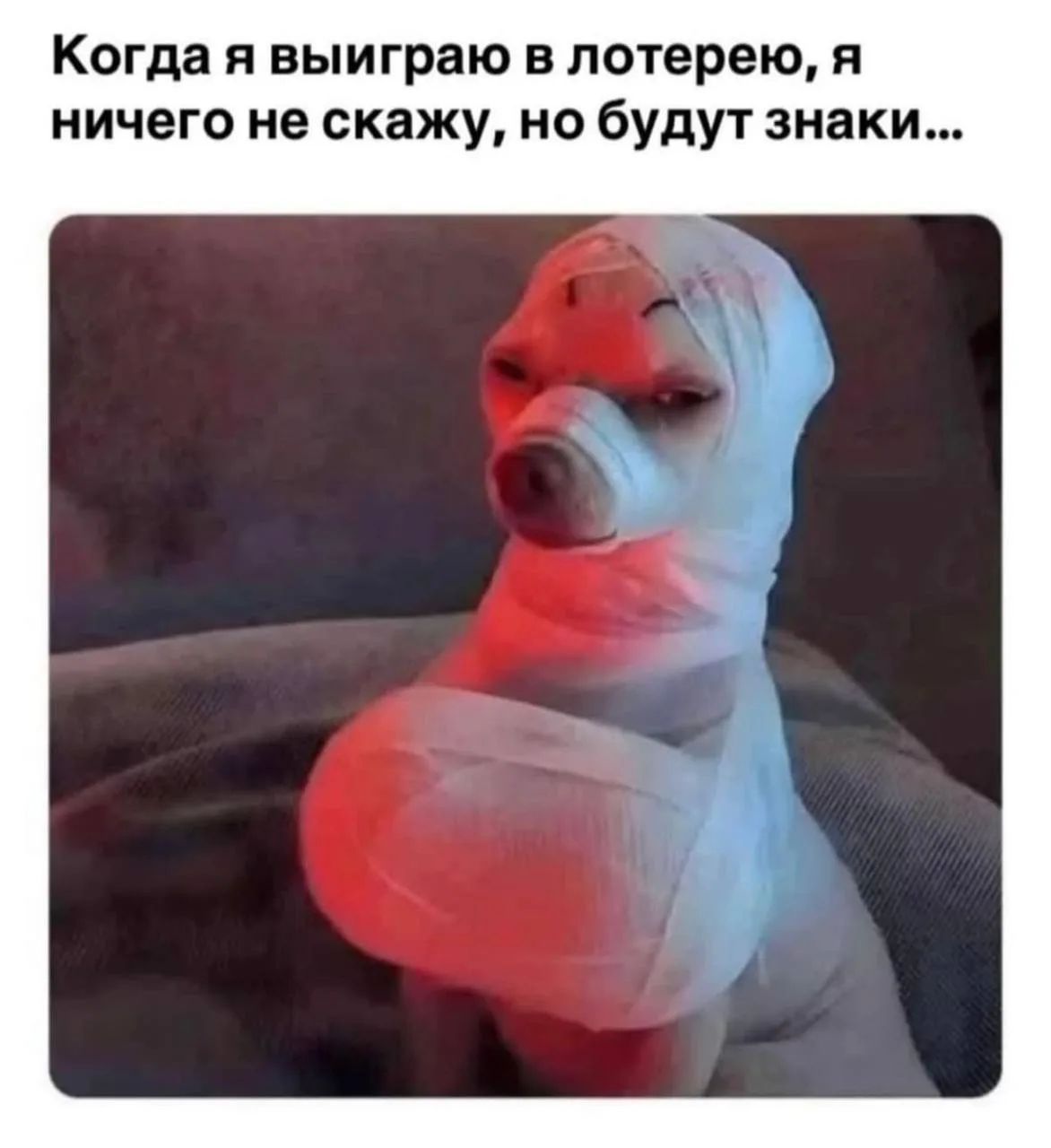 Когда я выиграю в лотерею, я ничего не скажу, но будут знаки...