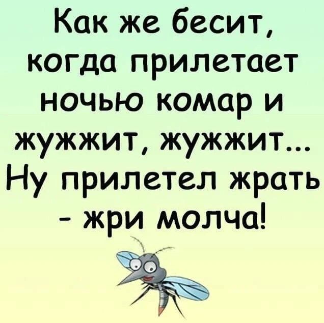 Как же бесит, когда прилетает ночью комар и жужжит, жужжит... Ну прилетел жрать - жри молча!