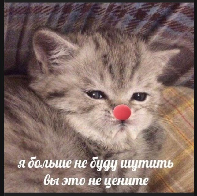 я больше не буду шутить вы это не цените