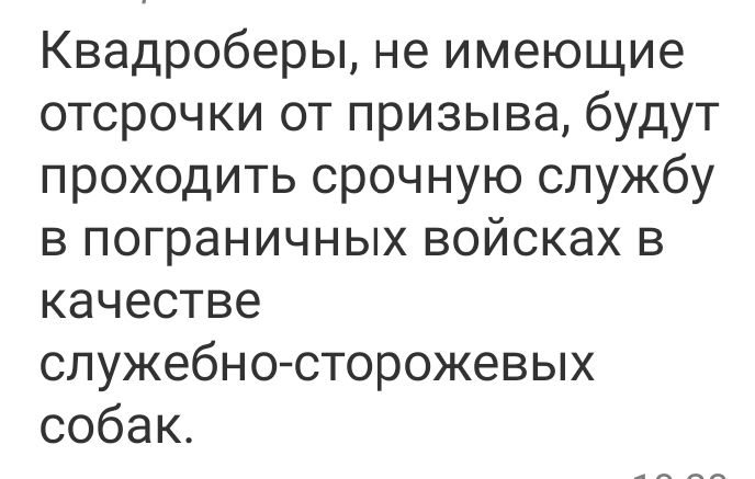 Квадроберы, не имеющие отсрочки от призыва, будут проходить срочную службу в пограничных войсках в качестве служебно-сторожевых собак.
