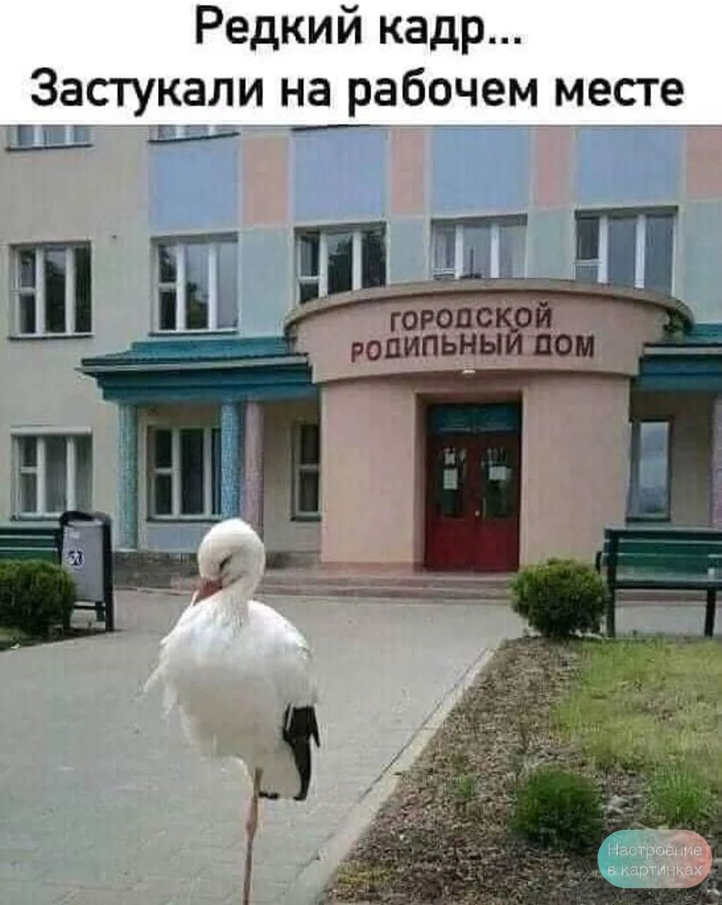 Редкий кадр... Застукали на рабочем месте ГОРОДСКОЙ РОДИЛЬНЫЙ ДОМ