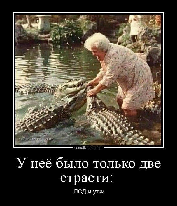 У неё было только две страсти: ЛСД и утки. Пожилая женщина в воде кормит или гладит двух крокодилов.