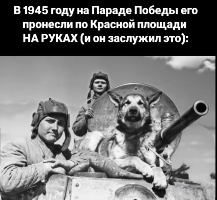 В 1945 году на Параде Победы его пронесли по Красной площади НА РУКАХ (и он заслужил это):